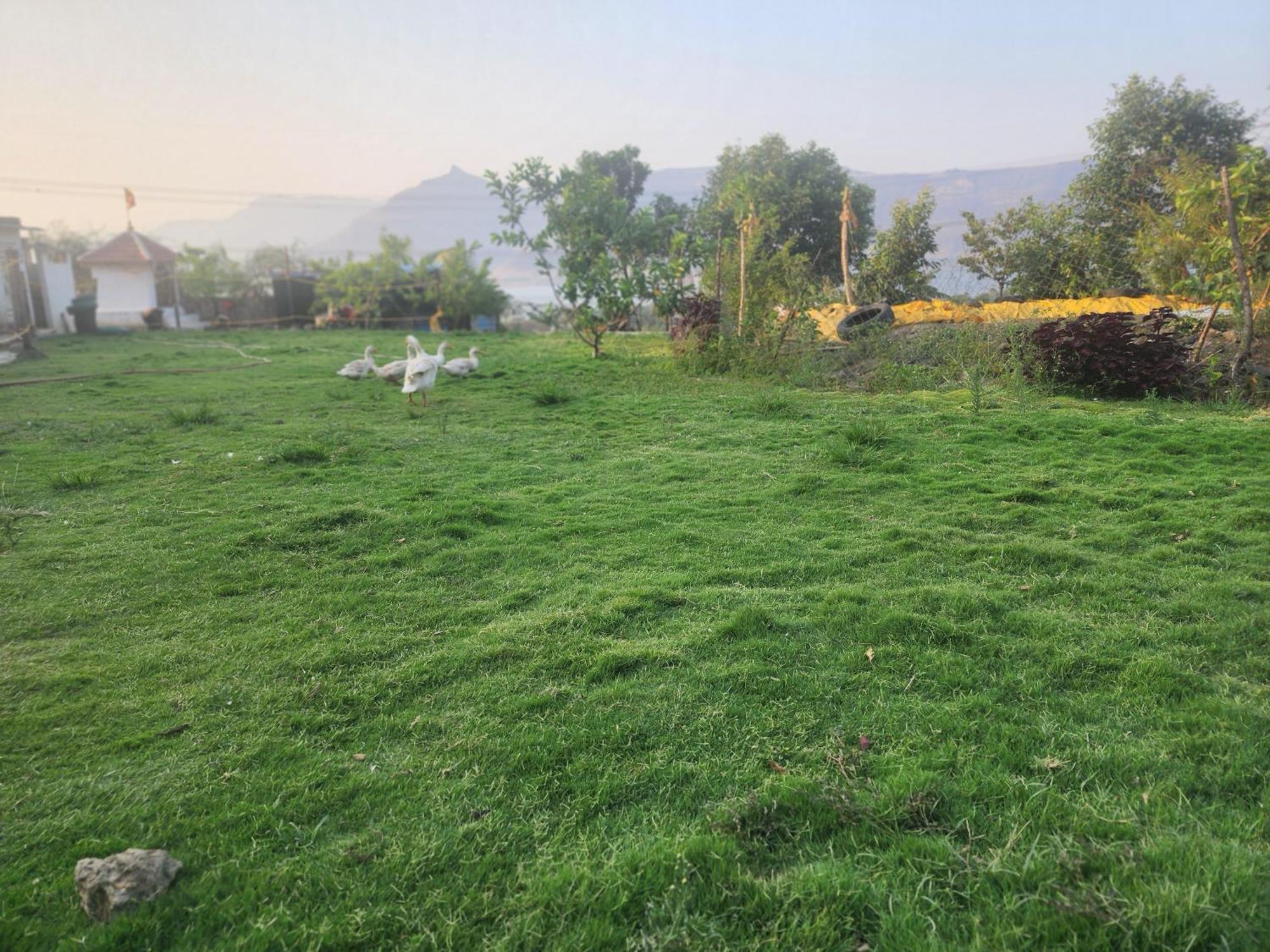 Jandyal Farm House Malshej Ghat Exteriör bild